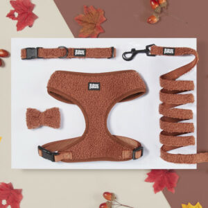 Cosy Collection Collar Bow and Lead Set - Brown