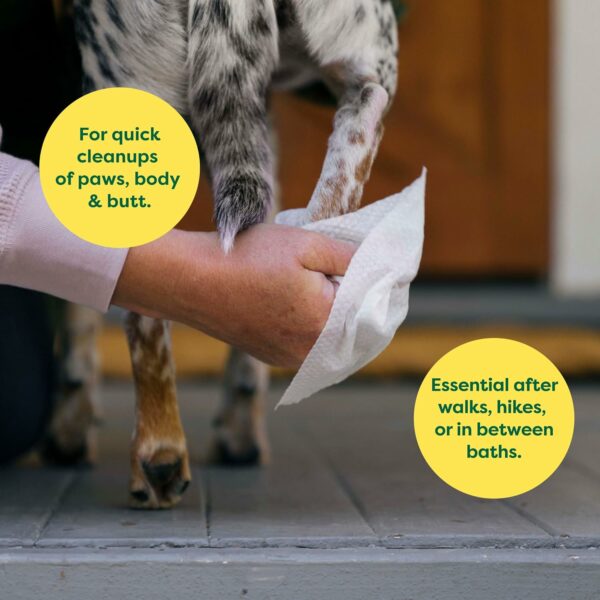Earth Rated Hypoallergenic Dog Wipes, Cleaning Lavender Scent 100 Count - Image 2