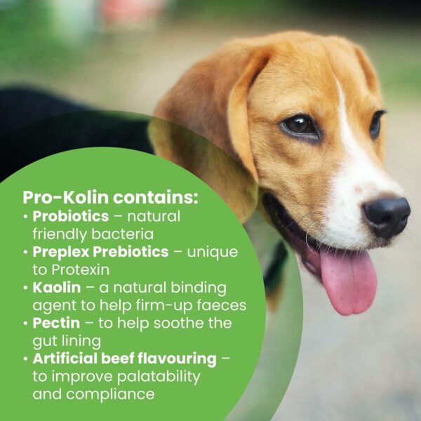 Protexin - Pro-Kolin for dogs and cats - Probiotic paste to support the gut 15ml + Syringe - Image 3