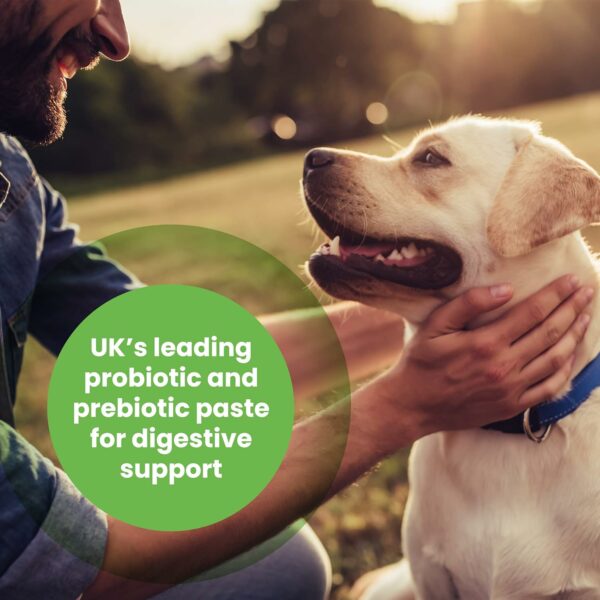 Protexin - Pro-Kolin for dogs and cats - Probiotic paste to support the gut 15ml + Syringe - Image 4