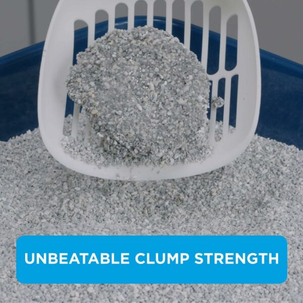 Ever Clean Clumping Cat Litter, Multiple Cat, Clumping Strength, 10L - Image 4