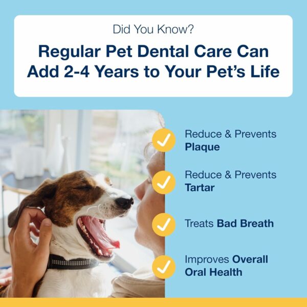 ProDen PlaqueOff Powder for Dogs & Cats, Teeth Cleaner 60 g - Image 3