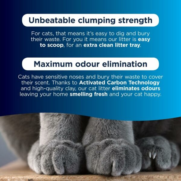Ever Clean Clumping Cat Litter, Multiple Cat, Clumping Strength, 10L - Image 3