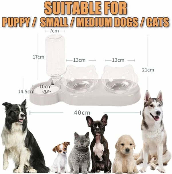 3-In-1 Cat, Dog Food And Water Bowl Set For Small Medium Cats and Dogs - Image 5