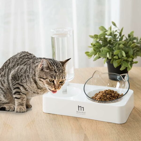 Marchul Cat Bowls with Mat - Image 2